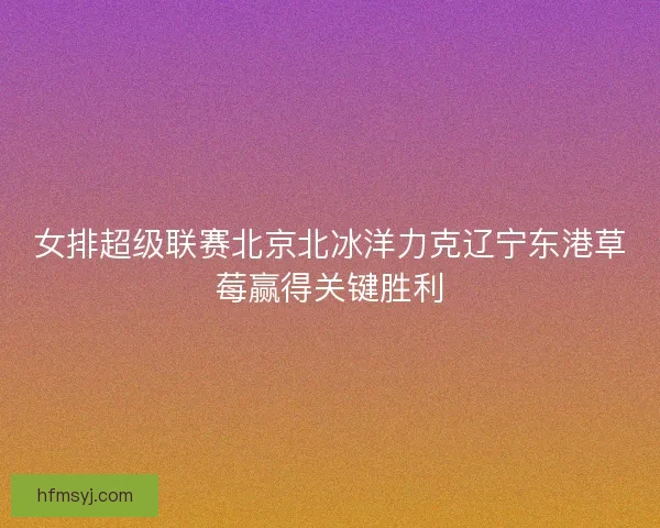 女排超级联赛北京北冰洋力克辽宁东港草莓赢得关键胜利